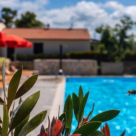 Agriturismo Il Tripesce Vada Εξωτερικό φωτογραφία