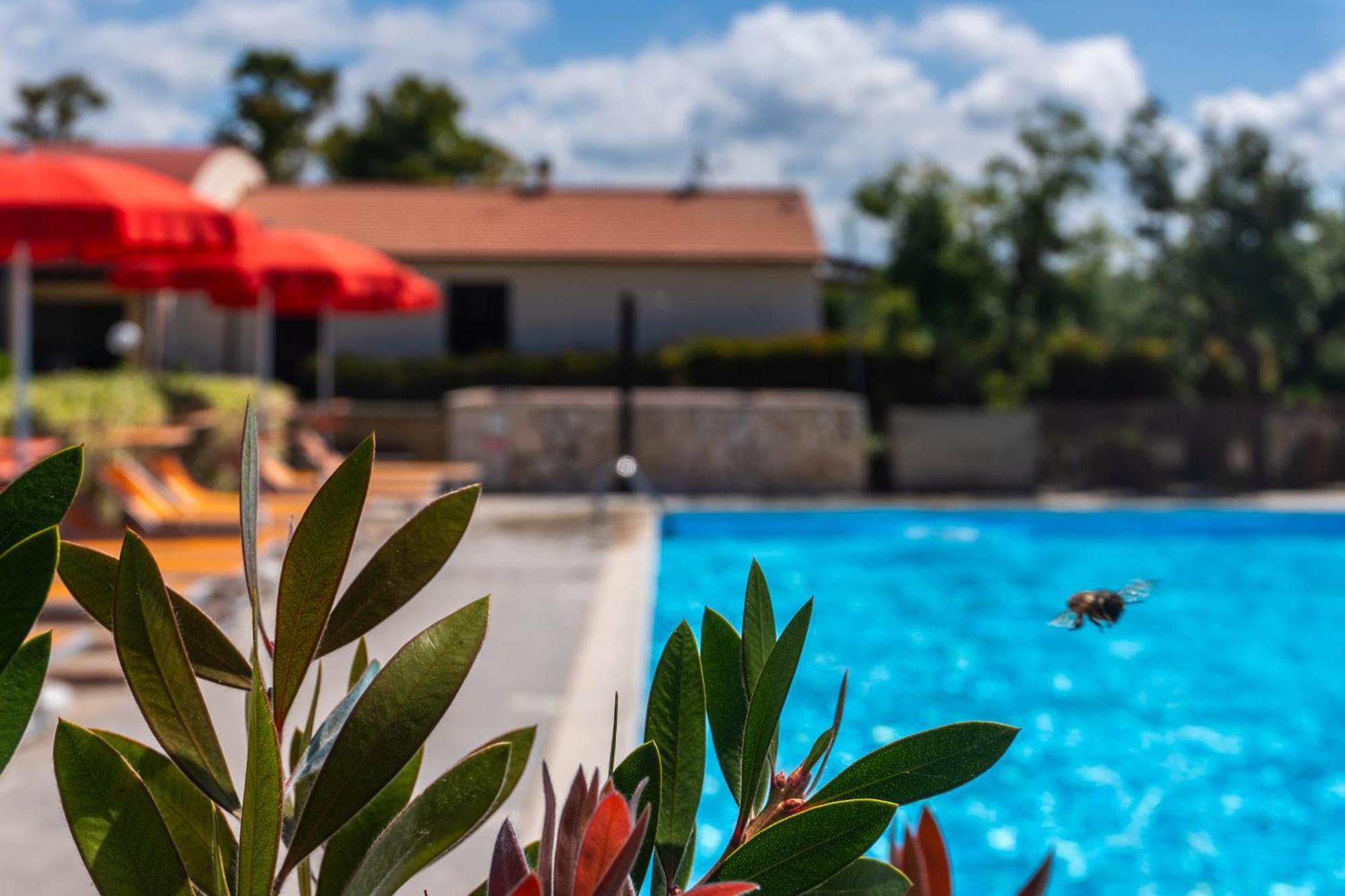 Agriturismo Il Tripesce Vada Εξωτερικό φωτογραφία