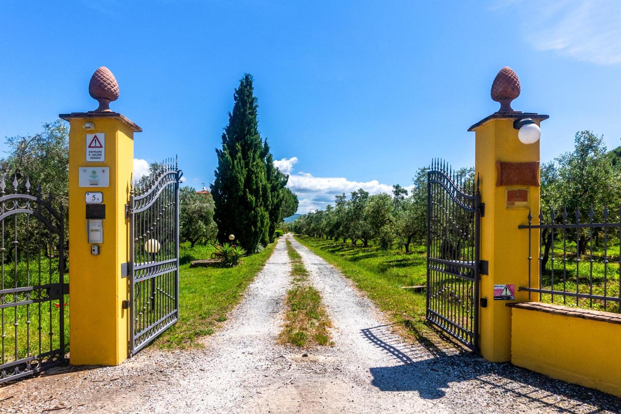 Agriturismo Il Tripesce Vada Εξωτερικό φωτογραφία