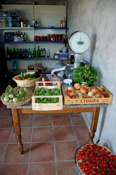 Agriturismo Il Tripesce Vada Εξωτερικό φωτογραφία