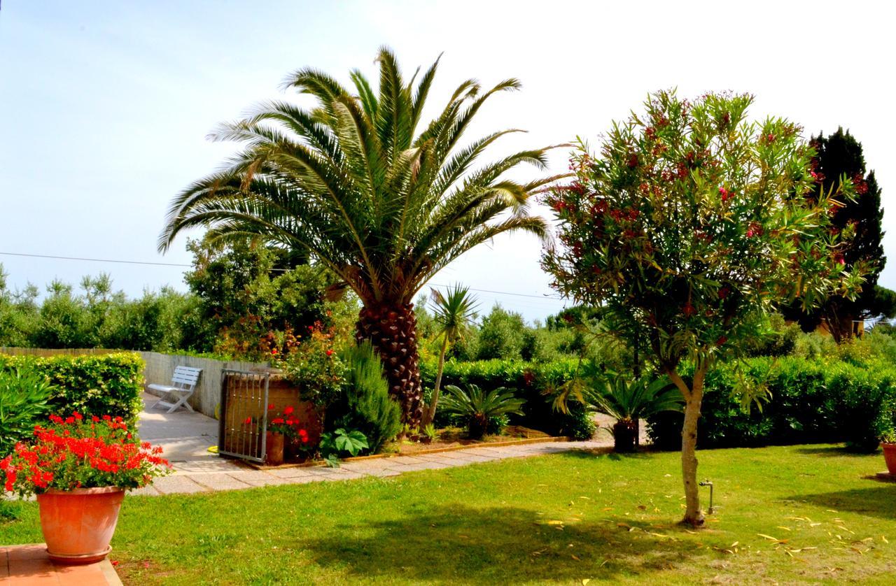 Agriturismo Il Tripesce Vada Εξωτερικό φωτογραφία